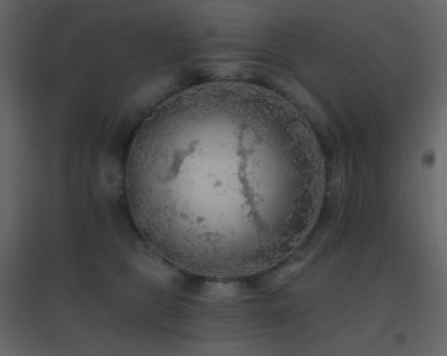 X0000096690469200802051351