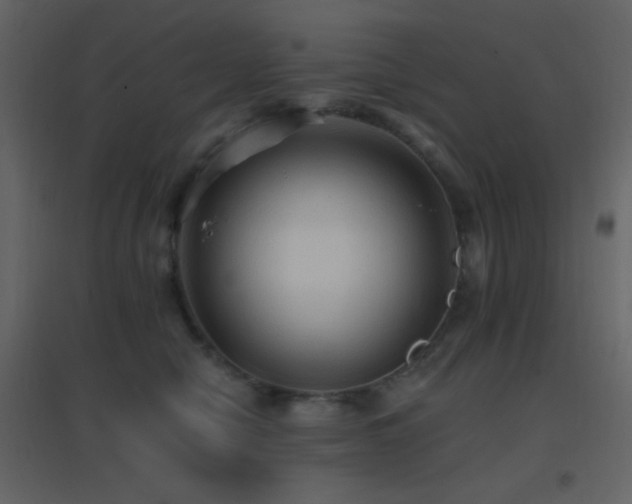 X0000096690470200802051351