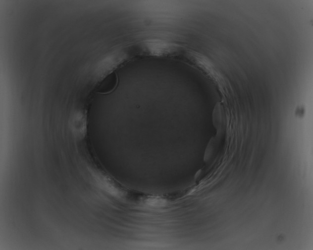 X0000096690471200802051351