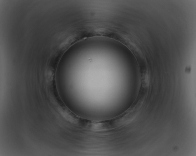 X0000096690472200802051351