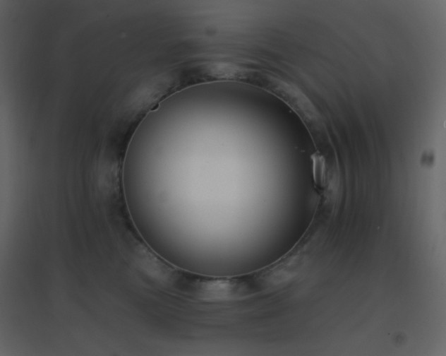 X0000096690473200802051351