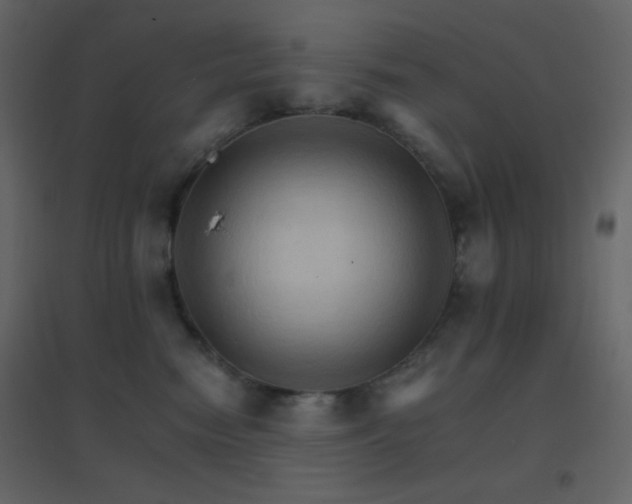 X0000096690474200802051351