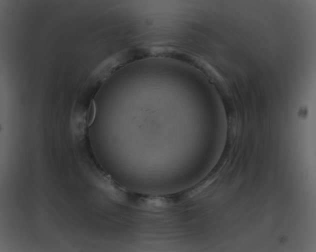 X0000096690475200802051351