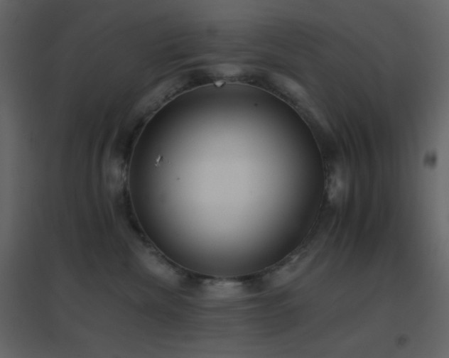 X0000096690476200802051351