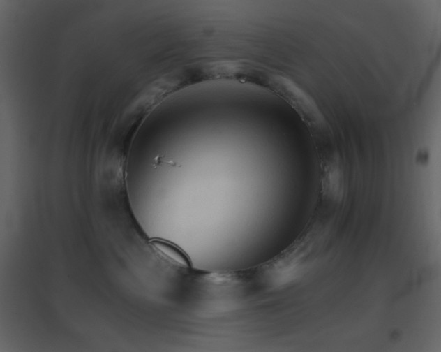 X0000096690477200802051351