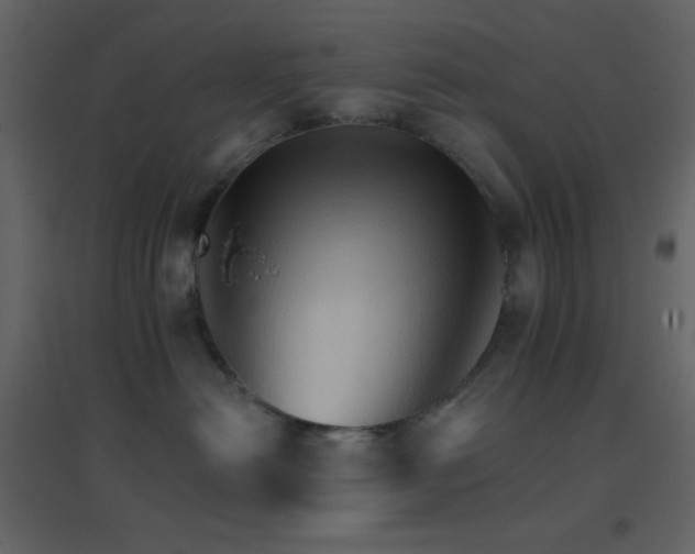 X0000096690478200802051351