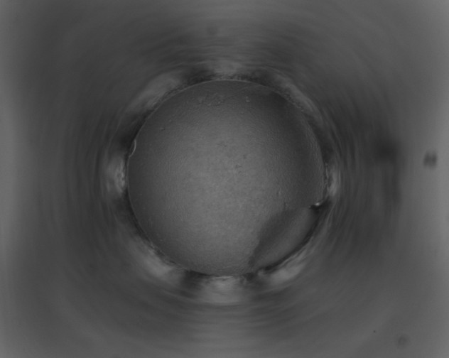 X0000096690479200802051351