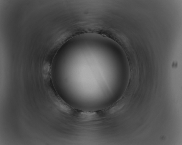 X0000096690480200802051351