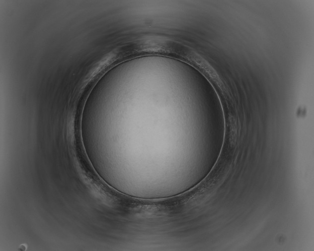 X0000096690482200802051350