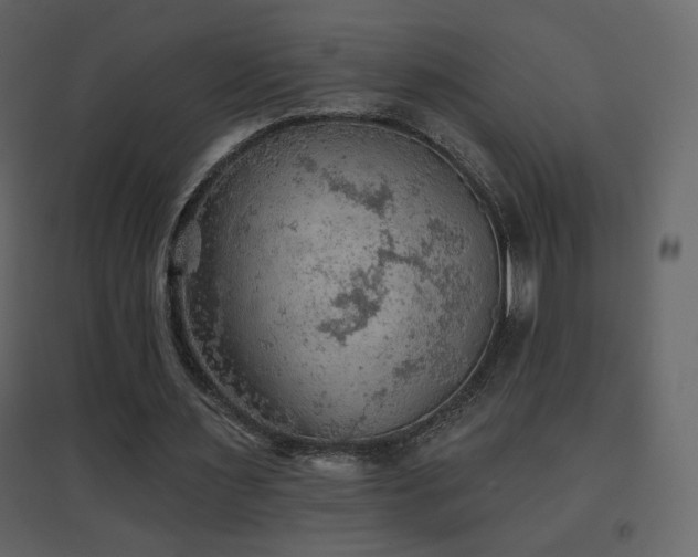 X0000096690483200802051350