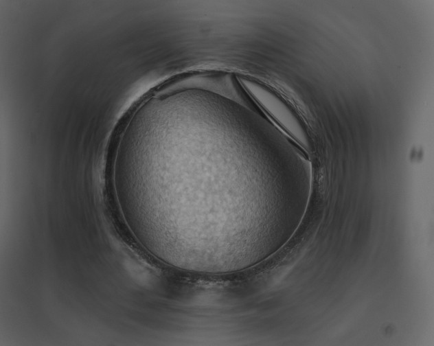 X0000096690484200802051350