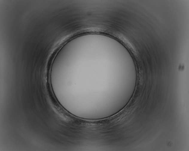 X0000096690486200802051350