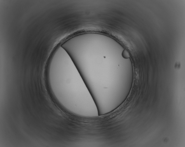 X0000096690487200802051350