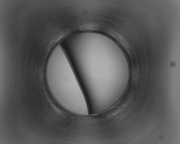 X0000096690489200802051350