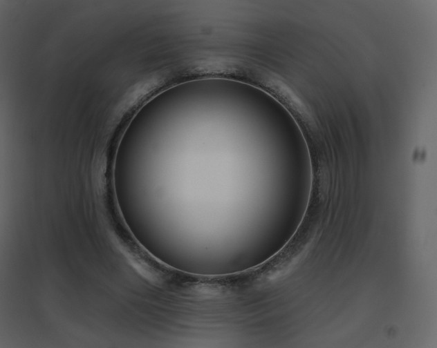 X0000096690490200802051350