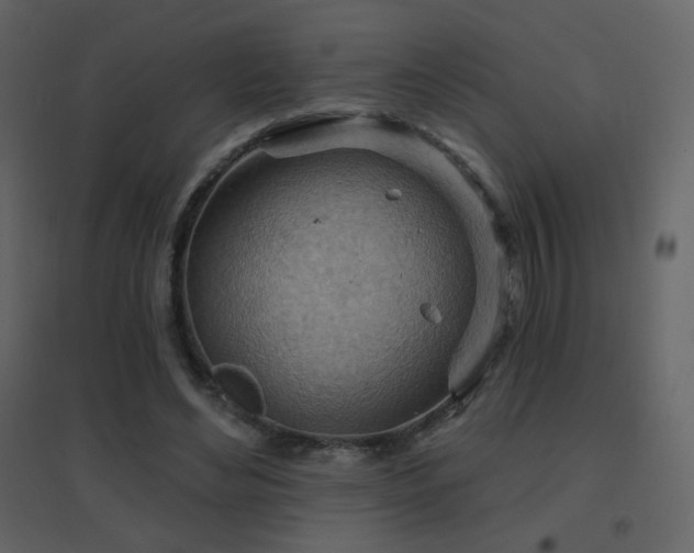 X0000096690492200802051350