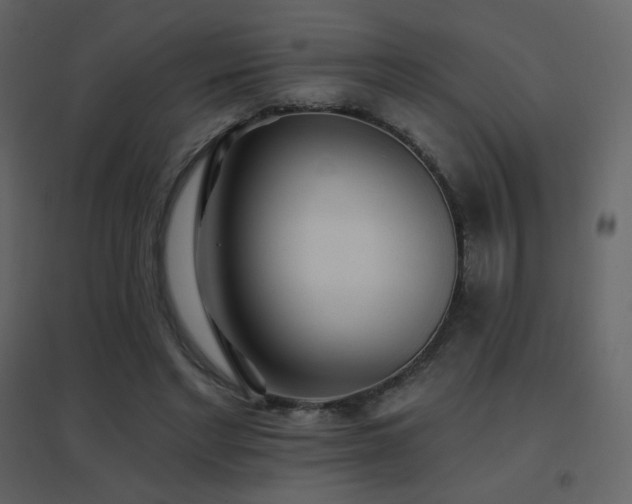 X0000096690493200802051350