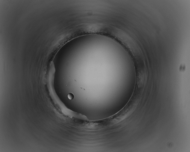 X0000096690497200802051350