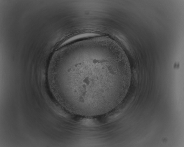 X0000096690499200802051350