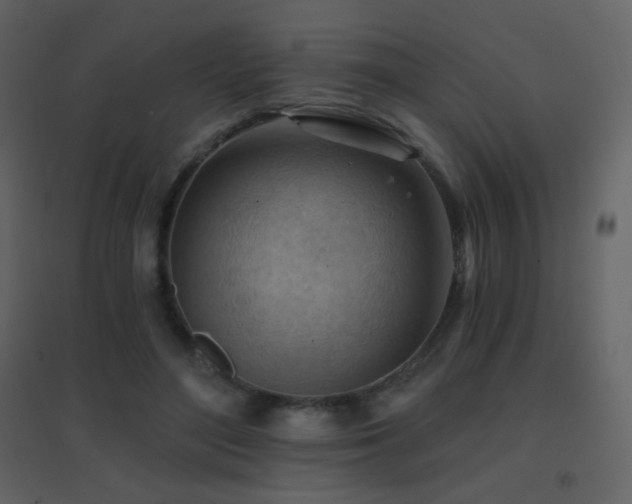 X0000096690500200802051350