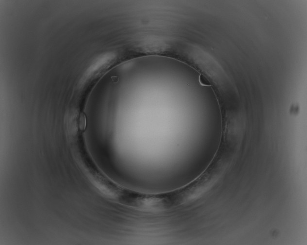 X0000096690501200802051350