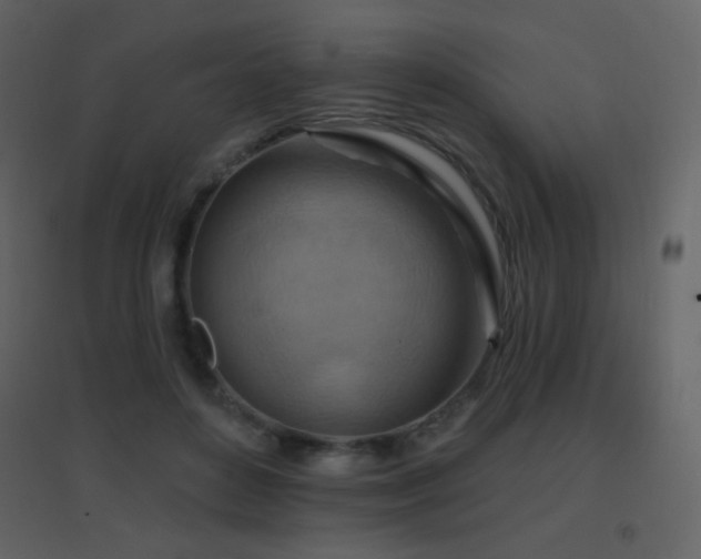 X0000096690504200802051350