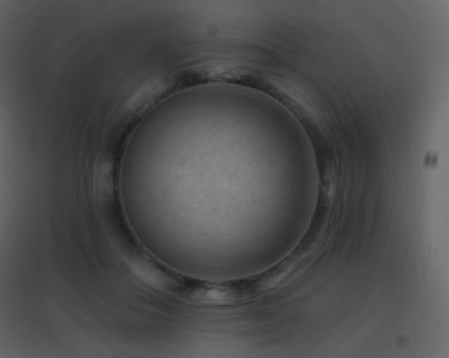 X0000096690506200802051350