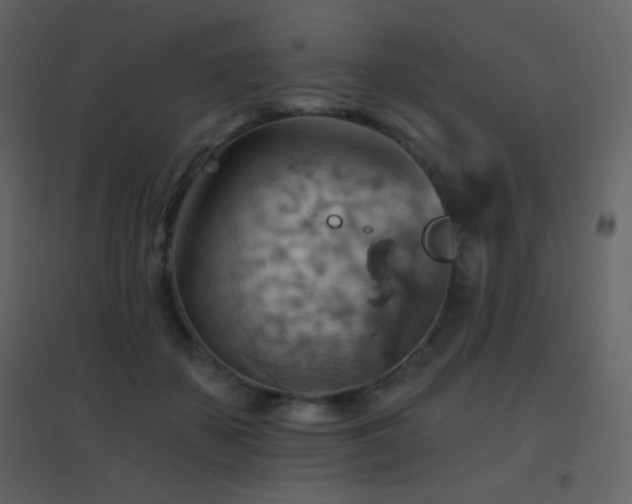 X0000096690507200802051350