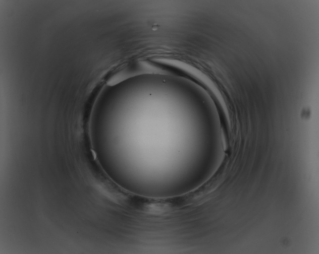 X0000096690508200802051350