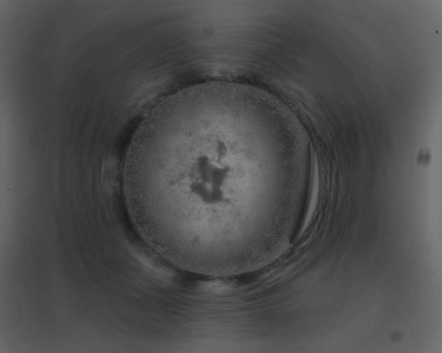 X0000096690511200802051350