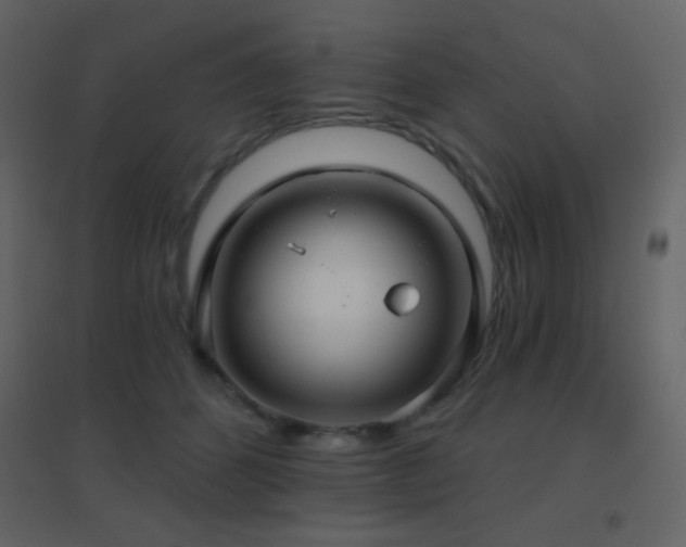 X0000096690512200802051350