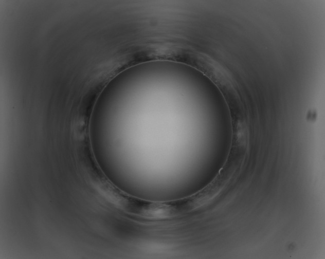 X0000096690514200802051350