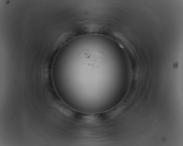 X0000096690516200802051350