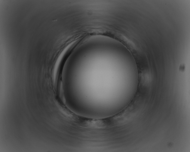 X0000096690517200802051350