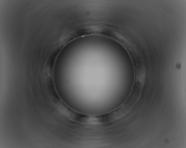 X0000096690518200802051350