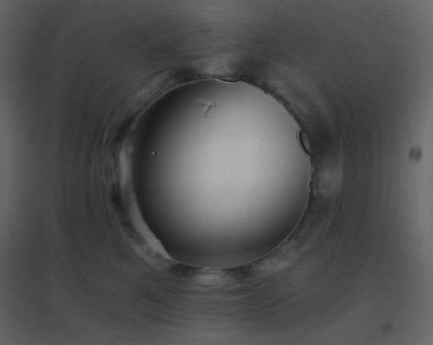 X0000096690521200802051350