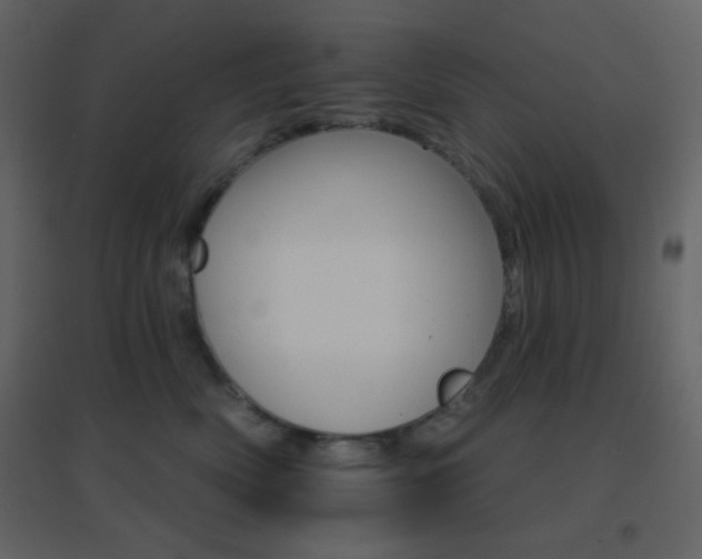 X0000096690522200802051350