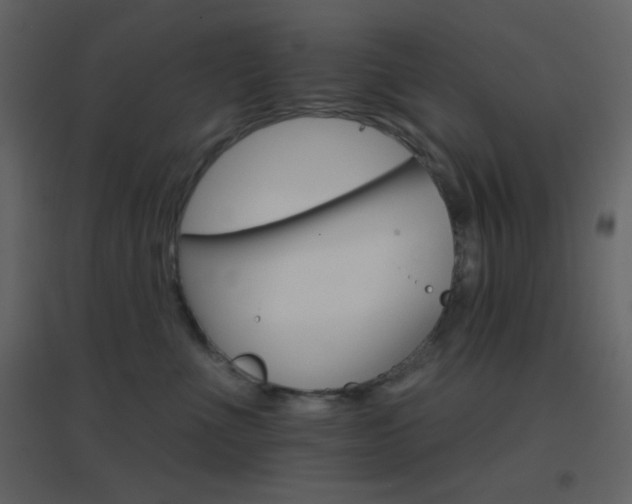 X0000096690523200802051350