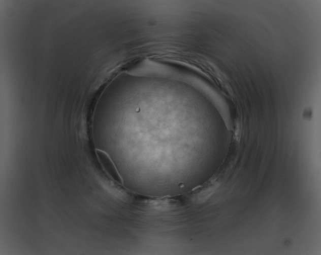 X0000096690524200802051350