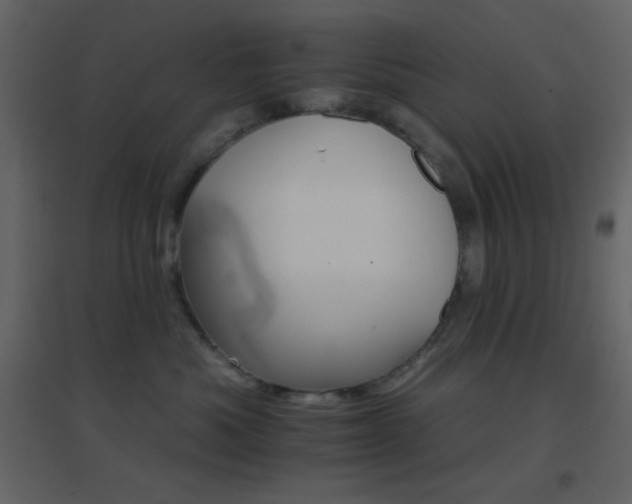 X0000096690525200802051350