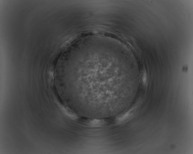 X0000096690527200802051350