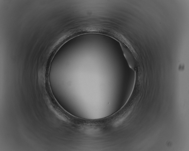 X0000096690530200802051349