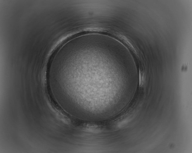 X0000096690531200802051349