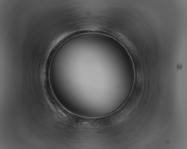 X0000096690532200802051349