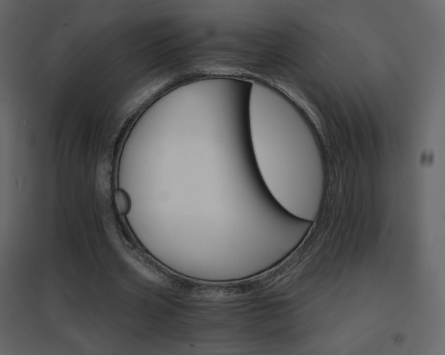 X0000096690533200802051349