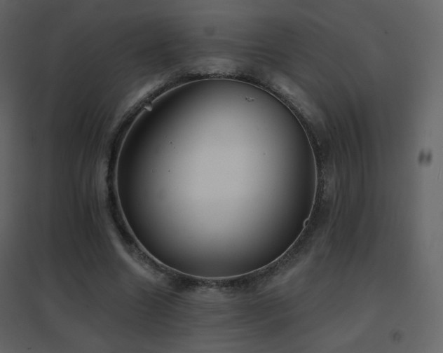 X0000096690538200802051349