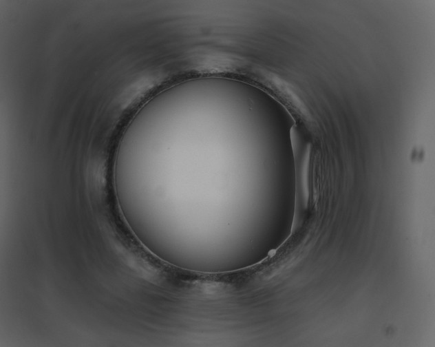 X0000096690539200802051349