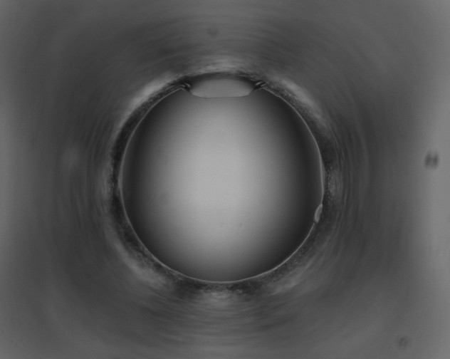 X0000096690540200802051349