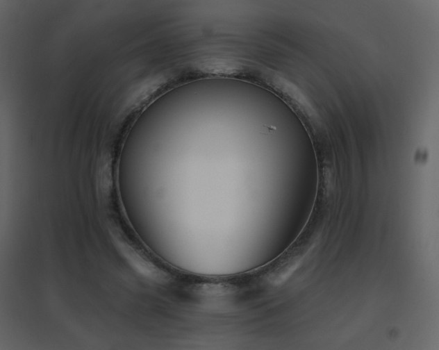 X0000096690541200802051349