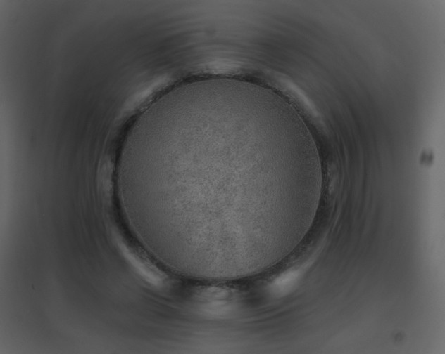 X0000096690542200802051349